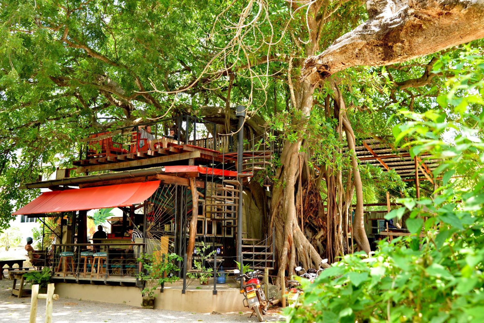 Mnarani Club&Spa Kilifi Bagian luar foto
